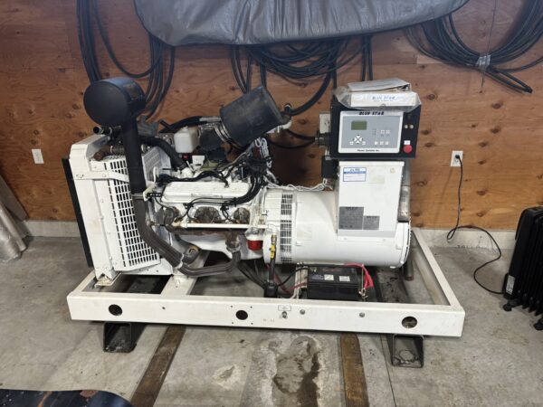 60kW 240V 1PH Blue Star OPU NG Generator - Model GM60